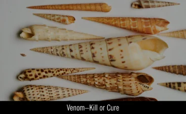 3.HomePage_CourseCarousel_VenomKillOrCure